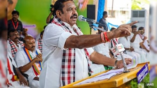 'Wagging Your Tails At Ruling Party': AIADMK's Sharp Jab As Rebels Inch To TVK