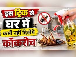 तिलचट्टों ने बना लिया किचन को अड्डा? ये 5 ट्रिक्स दिखाएंगी ऐसा असर कि दोबारा नहीं लौटेंगे कॉकरोच
