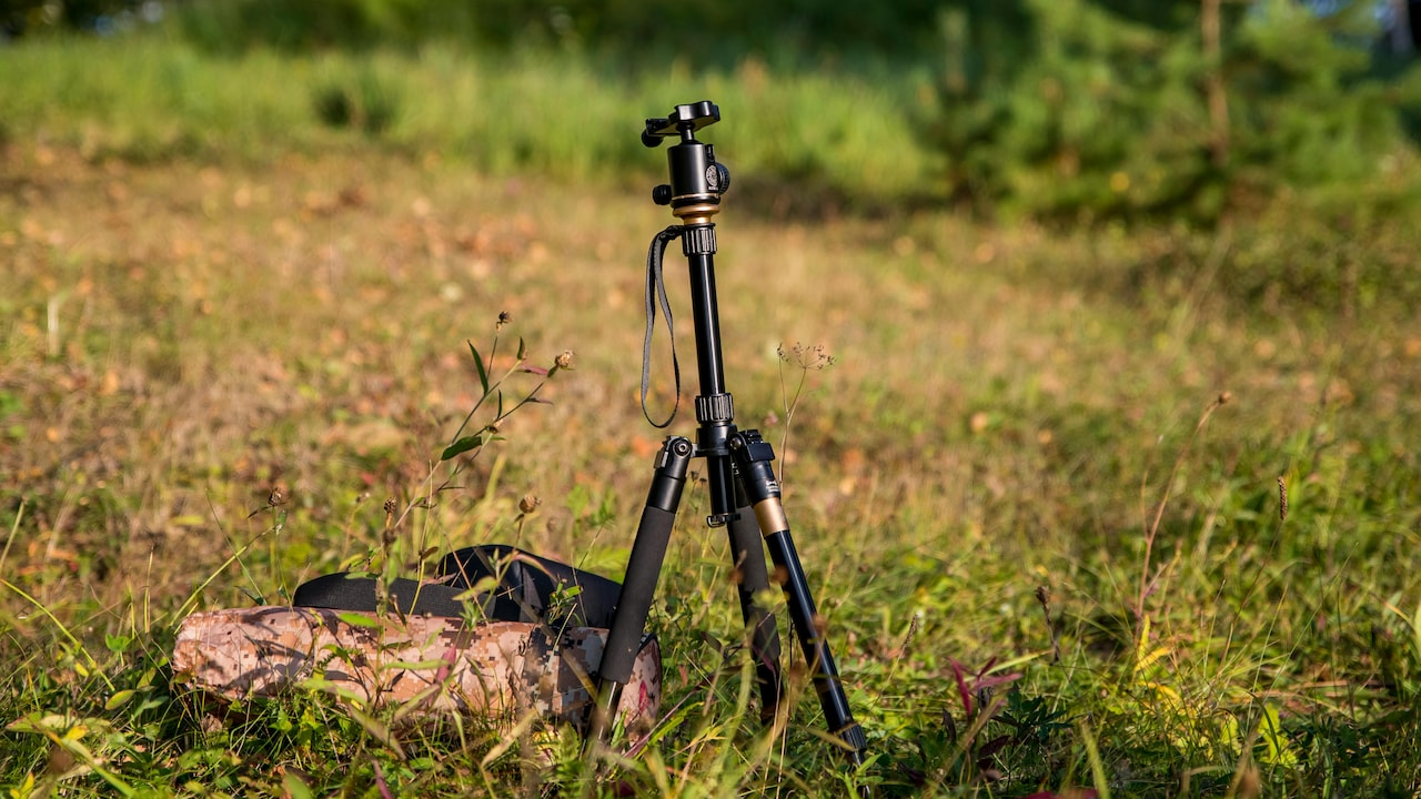 Cheap Tripods Shaking Too Much? Stability Features Beginners Miss