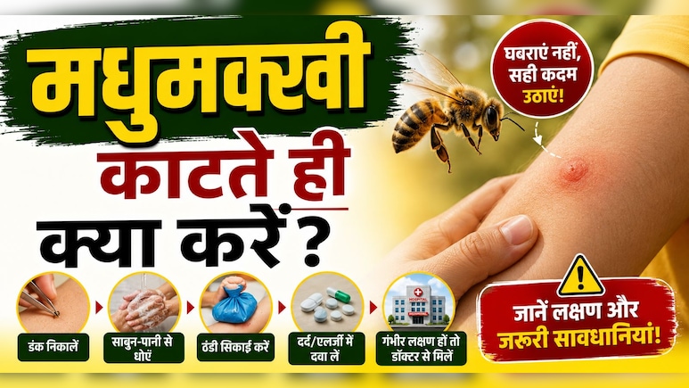 मधुमक्खी काट ले तो फौरन क्या करना चाहिए? जानिए सही तरीका, वरना बढ़ सकती है परेशानी