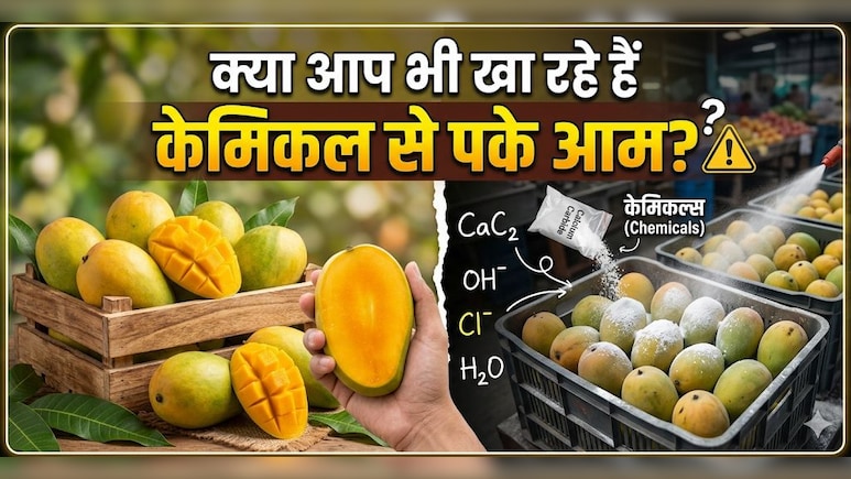 Chemical से पके आम की कैसे करें पहचान? ये रही आसान ट्रिक!