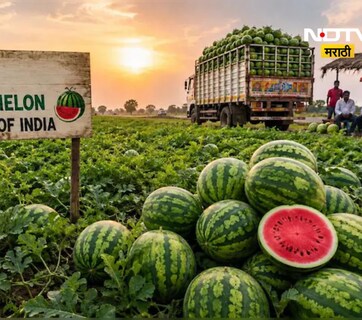 Watermelon Capital: कोणतं शहर आहे भारताची 'वॉटरमेलन कॅपिटल'? उन्हाळ्यात सर्वत्र दिसतायत फक्त कलिंगड