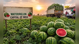Watermelon Capital: कोणतं शहर आहे भारताची 'वॉटरमेलन कॅपिटल'? उन्हाळ्यात सर्वत्र दिसतायत फक्त कलिंगड