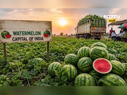 Watermelon Capital: कोणतं शहर आहे भारताची 'वॉटरमेलन कॅपिटल'? उन्हाळ्यात सर्वत्र दिसतायत फक्त कलिंगड