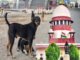 कुत्ते के काटने के मामलों में सुप्रीम कोर्ट इतना सख़्त क्यों? आंकड़ों से समझिए पूरी कहानी कुत्ते के काटने के मामलों में सुप्रीम कोर्ट इतना सख़्त क्यों? आंकड़ों से समझिए पूरी कहानी