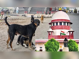कुत्ते के काटने के मामलों में सुप्रीम कोर्ट इतना सख़्त क्यों? आंकड़ों से समझिए पूरी कहानी