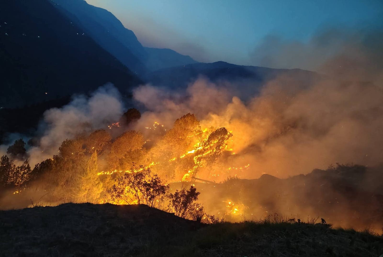 Uttarakhand Forest Fire: जंगल की आग