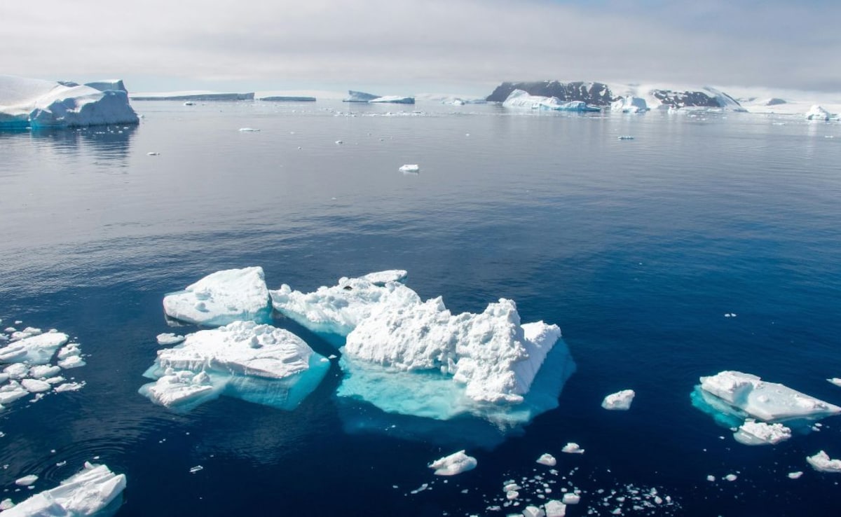 Antarctica isnt completely cut off from the skies either.