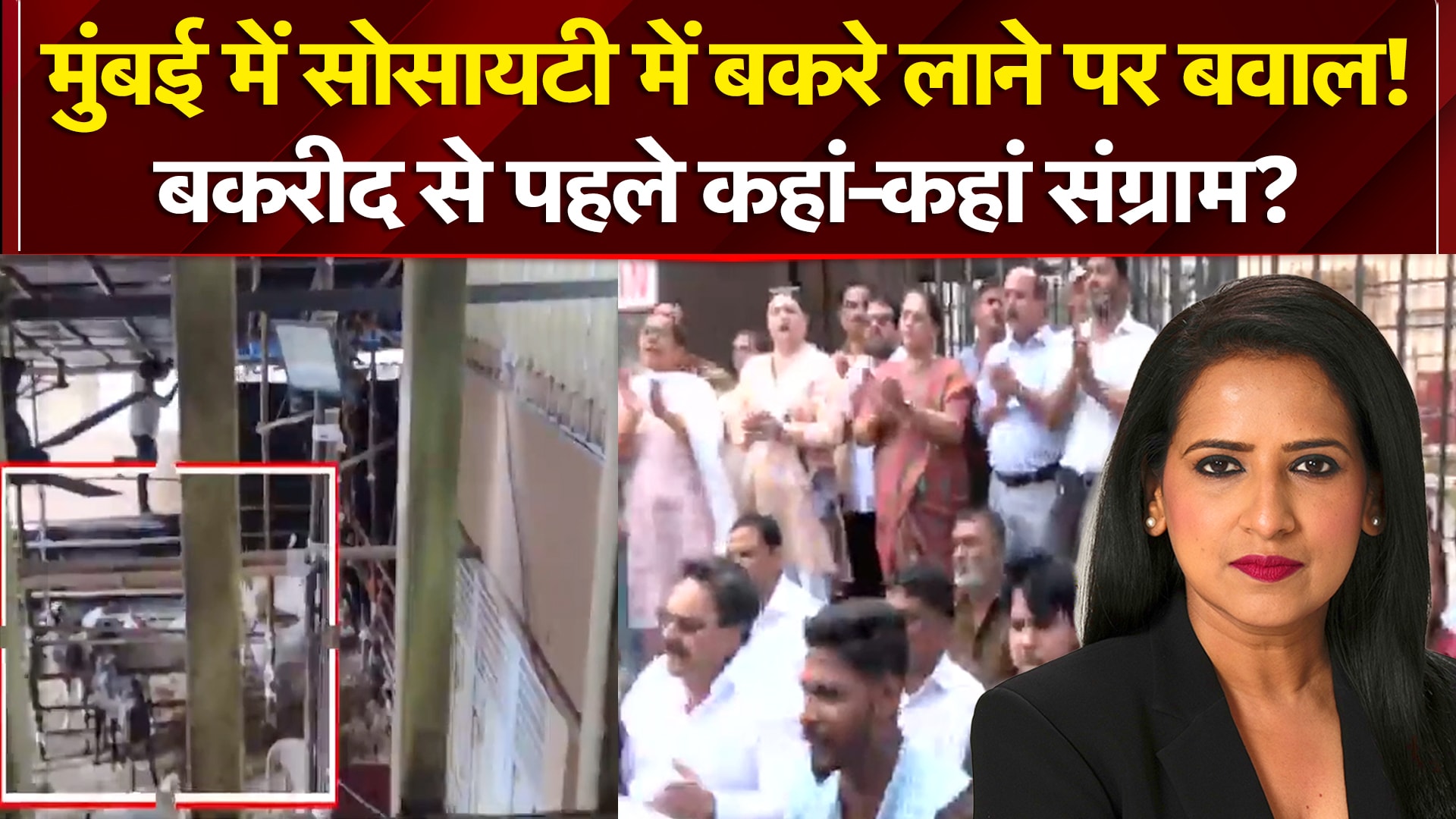 Bakrid Controversy: Mumbai में Society में बकरे लाने पर बवाल! बकरीद से पहले कहां-कहां संग्राम?