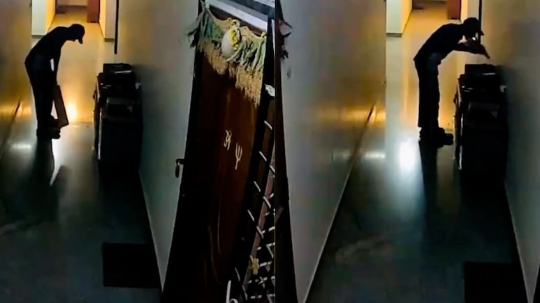 After Blinkit Delivery Boy's Viral Cricket Bat Moment, Internet Wants BCCI To Notice Him