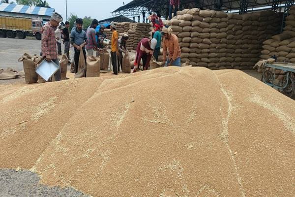 MP Ka Gehun: गेहूं उपार्जन