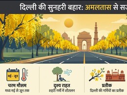 सड़क किनारे दिखने वाला ये पीला फूलदार पेड़ है &lsquo;रामबाण&rsquo;, कब्ज से लेकर स्किन तक देता है राहत