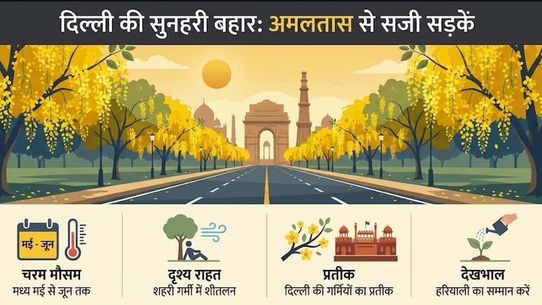 सड़क किनारे दिखने वाला ये पीला फूलदार पेड़ है &lsquo;रामबाण&rsquo;, कब्ज से लेकर स्किन तक देता है राहत