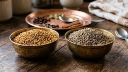 Methi Seeds vs Jeera: Which Spice Lowers Fasting Blood Sugar Faster?