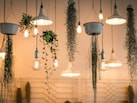 Amazon Sale की Smart Lighting से जगमग हो उठेगा आपका घर, दाम नहीं पड़ेंगे जेब पर भारी