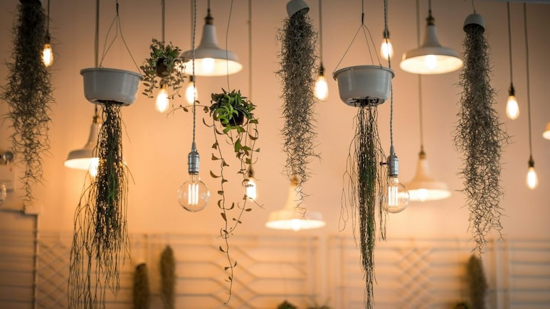 Amazon Sale की Smart Lighting से जगमग हो उठेगा आपका घर, दाम नहीं पड़ेंगे जेब पर भारी