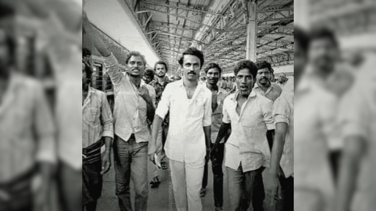 Photo Credit: DMK Photo Credit: DMK