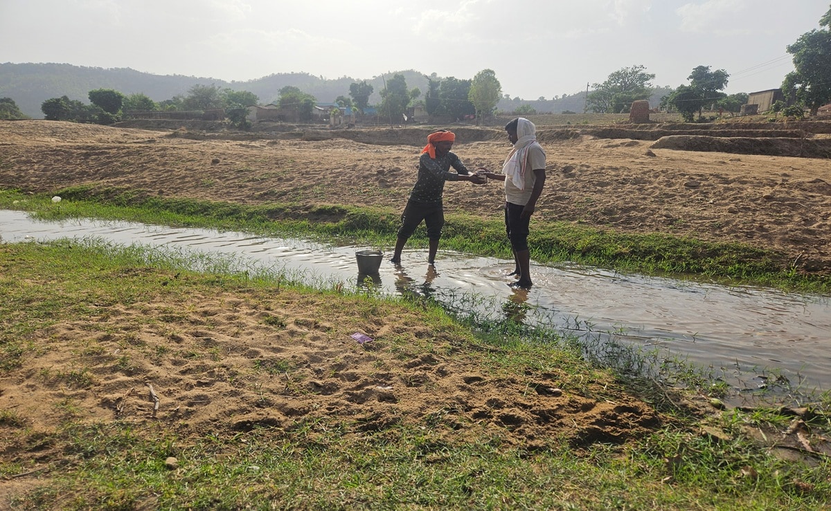Singrauli Water Crisis: पेयजल की समस्या
