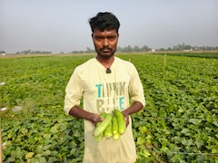 30 हजार की लागत और डेढ़ लाख की कमाई, मऊ के युवा किसान ने कर दिया कमाल