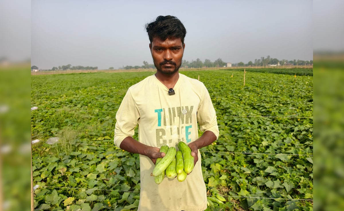 Story image