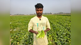 30 हजार की लागत और डेढ़ लाख की कमाई, मऊ के युवा किसान ने कर दिया कमाल