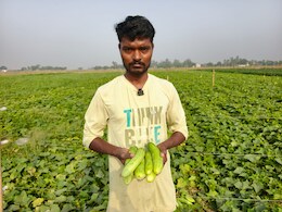 30 हजार की लागत और डेढ़ लाख की कमाई, मऊ के युवा किसान ने कर दिया कमाल