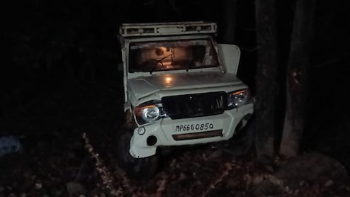 Surajpur Road Accident: सूरजपुर में भीषण सड़क हादसा, पिकअप पलटने से 3 लोगों की मौत, एक दर्जन लोग घायल, 3 की हालत गंभीर