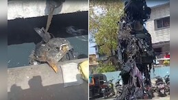 Video: मुंबईत नालेसफाईवेळी धक्कादायक प्रकार; नाल्यात तो सांगाडा पाहून BMC कर्मचारी चक्रावले! थेट क्रेनच मागवली