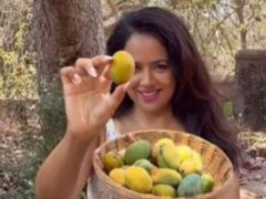 Watch: Sameera Reddy Cooks A Tangy Goan Wild Mango Coconut Curry