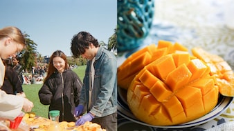 Amid Indian Mango Shortage In The US, A Man Hosts A Mango Party