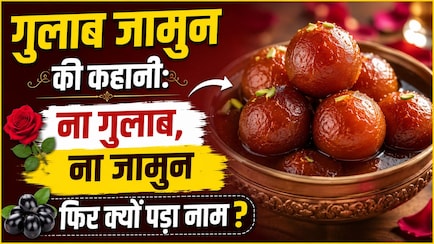 गुलाब जामुन में न गुलाब न जामुन, फिर भी क्यों पड़ा नाम Gulab Jamun? जानिए इस मिठाई की असली कहानी