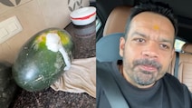 YouTuber Flying Beast Shares Video Of Foaming Watermelon, Social Media Reacts