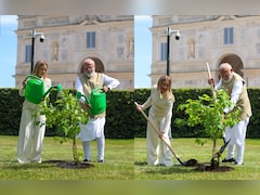 PM Modi, Italy PM Meloni Plant Sapling In Rome Under 'Ek Ped Maa Ke Naam' Initiative