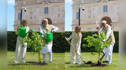 PM Modi, Italy PM Meloni Plant Sapling In Rome Under 'Ek Ped Maa Ke Naam' Initiative