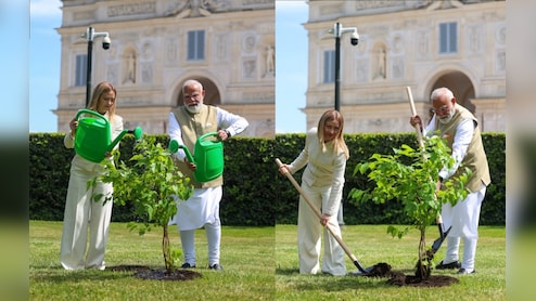 PM Modi, Italy PM Meloni Plant Sapling In Rome Under 'Ek Ped Maa Ke Naam' Initiative