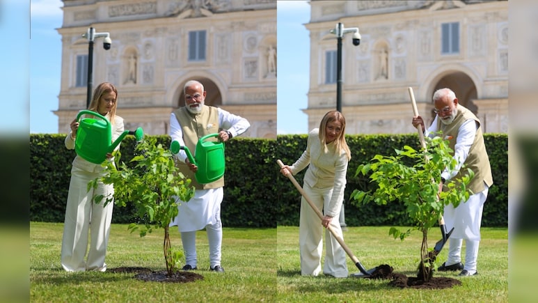 PM Modi, Italy PM Meloni Plant Sapling In Rome Under 'Ek Ped Maa Ke Naam' Initiative