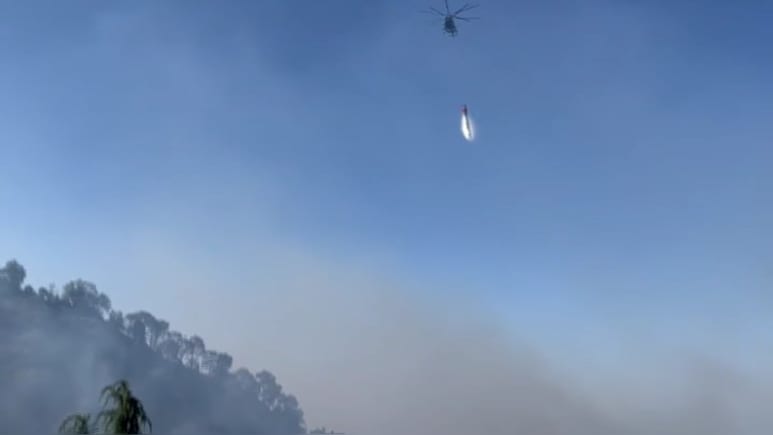 Forest Near Kasauli Air Force Station On Fire, Choppers Splash Water