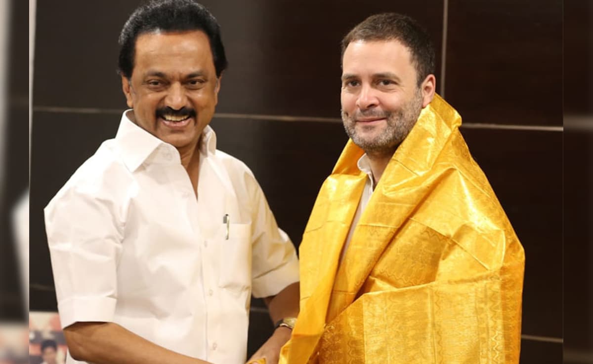 Tamil Nadu Politics: Will Congress End Decade-Long Alliance With DMK As It Backs Vijay's TVK?