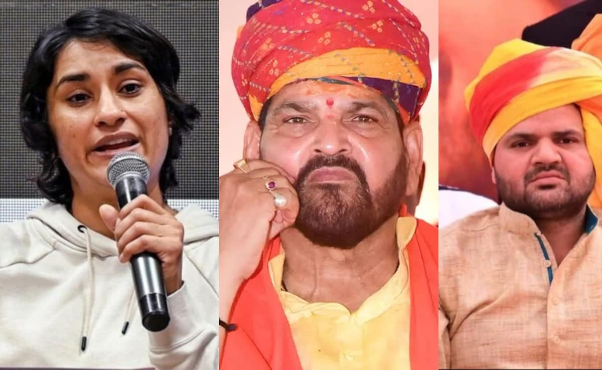 'जो आए थे... लड़े होते तो पता चल जाता', पहलवान विनेश फोगाट पर क्या बोले बृजभूषण के बेटे करन भूषण