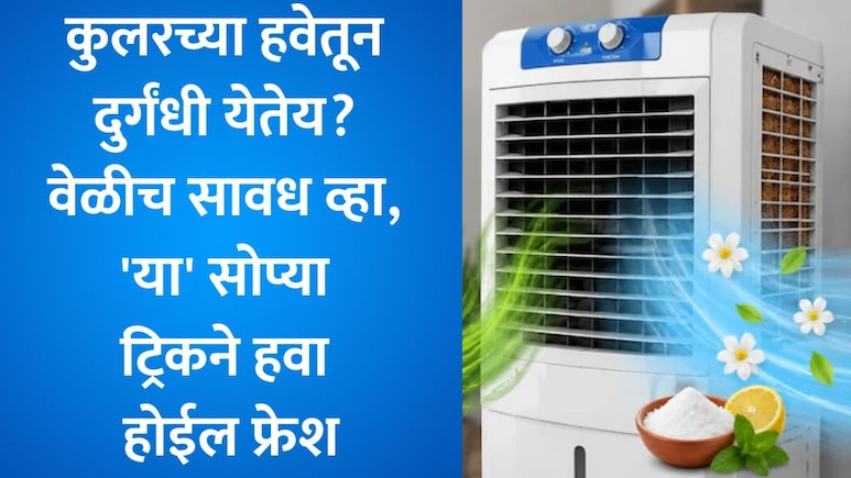 Summer Tips: कुलरमधून खराब झालेल्या माशांसारखा घाणेरडा वास येतोय? 'हे' सोपे उपाय करून मिनिटांत दूर करा समस्या