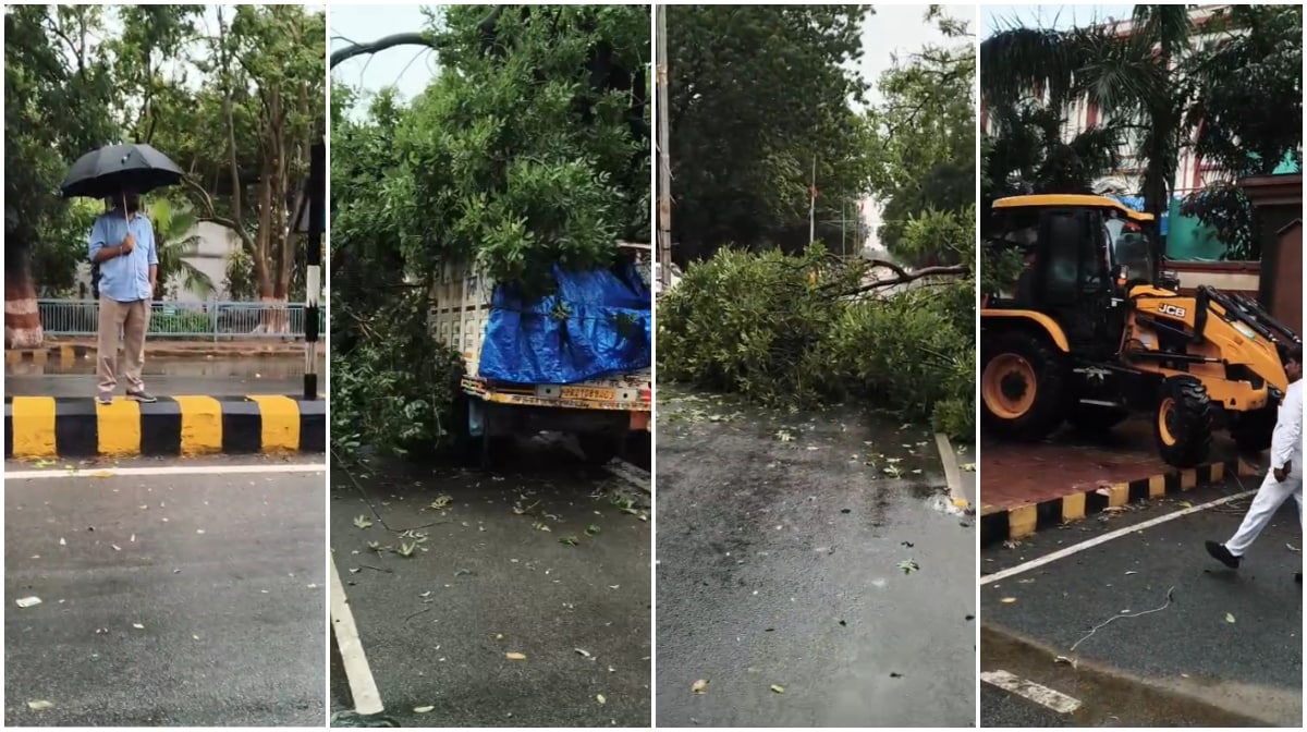 पटना में तेज आंधी और बारिश के बाद सड़क पर गिरे पेड़ों को उठाने का काम जारी है. पटना में तेज आंधी और बारिश के बाद सड़क पर गिरे पेड़ों को उठाने का काम जारी है.