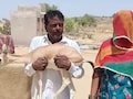 Rajasthan: 9 महीने तक हिरणी को बेटी की तरह पाला, आंखों पर पट्टी बांधकर विदा करते समय रो पड़ा पूरा परिवार; देखें वीडियो