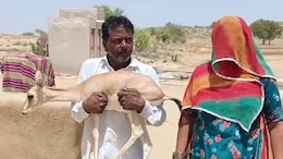 Rajasthan: 9 महीने तक हिरणी को बेटी की तरह पाला, आंखों पर पट्टी बांधकर विदा करते समय रो पड़ा पूरा परिवार; देखें वीडियो