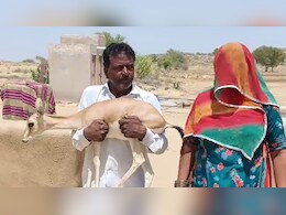 Rajasthan: 9 महीने तक हिरणी को बेटी की तरह पाला, आंखों पर पट्टी बांधकर विदा करते समय रो पड़ा पूरा परिवार; देखें वीडियो