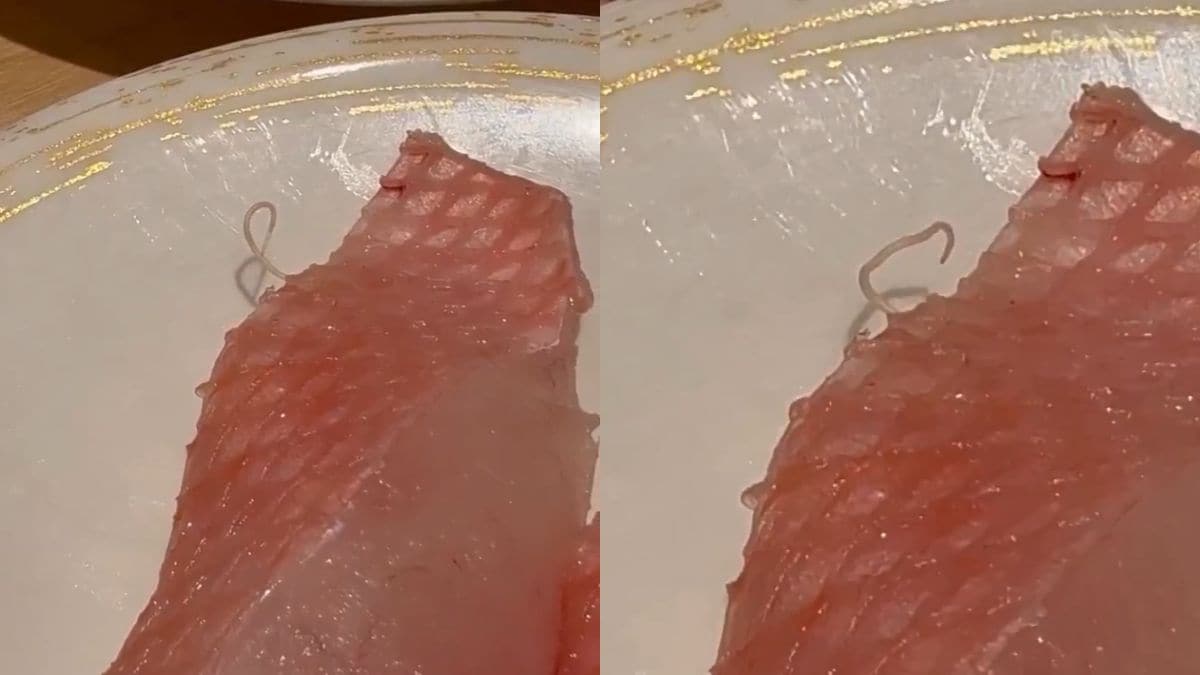 Viral: Parasite Crawls Out Of Sushi At Hong Kong Restaurant, Outlet Apologises