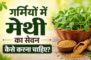 गर्म होती है मेथी की तासीर, क्या गर्मियों में इसका सेवन कर सकते हैं? क्या है सही तरीका