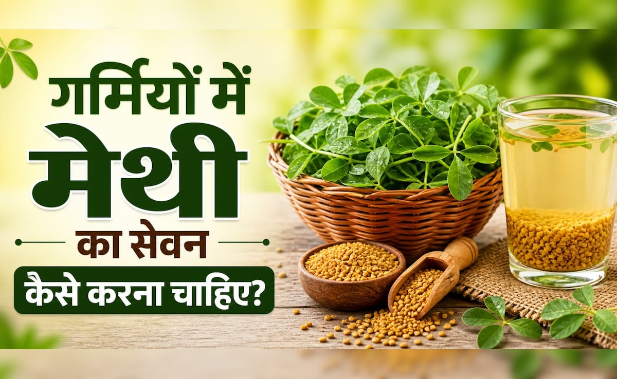 गर्म होती है मेथी की तासीर, क्या गर्मियों में इसका सेवन कर सकते हैं? क्या है सही तरीका