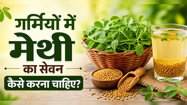 गर्म होती है मेथी की तासीर, क्या गर्मियों में इसका सेवन कर सकते हैं? क्या है सही तरीका