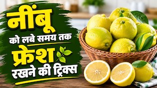 फ्रिज में ऐसे रखते हैं नींबू तो खुद ही कर रहे हैं खराब! 90% लोग नहीं जानते महीनों तक फ्रेश रखने वाली ये सीक्रेट ट्रिक