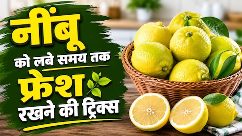 फ्रिज में ऐसे रखते हैं नींबू तो खुद ही कर रहे हैं खराब! 90% लोग नहीं जानते महीनों तक फ्रेश रखने वाली ये सीक्रेट ट्रिक